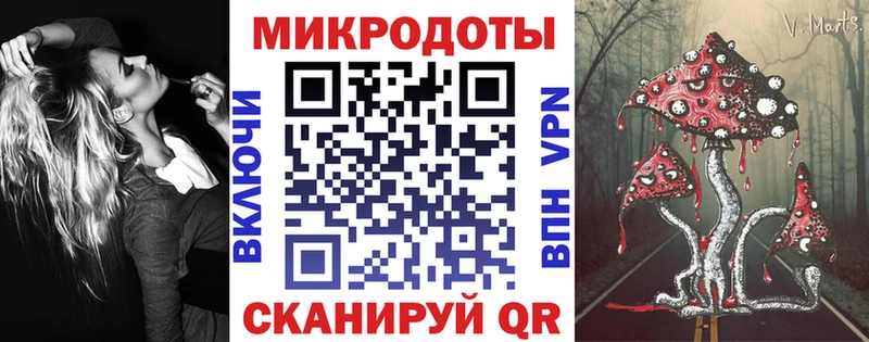 Псилоцибиновые грибы Cubensis  Сокол 